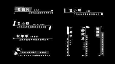 简约商务人名字幕AE模板