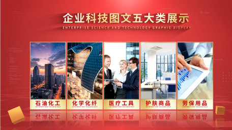 简约立体质感党政分屏AE模板