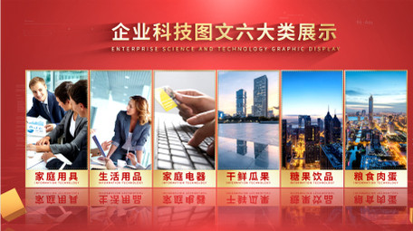 简约立体质感党政分屏AE模板