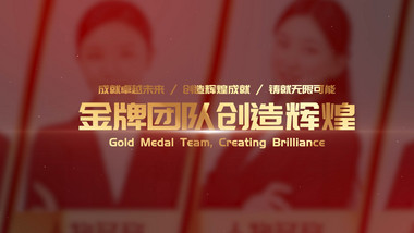 大气红金党政人物介绍pr模板