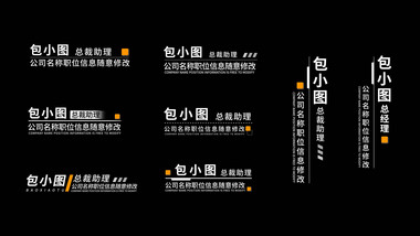 简约图形商务人名字幕