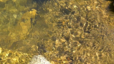 流水升格透过河面空镜实拍