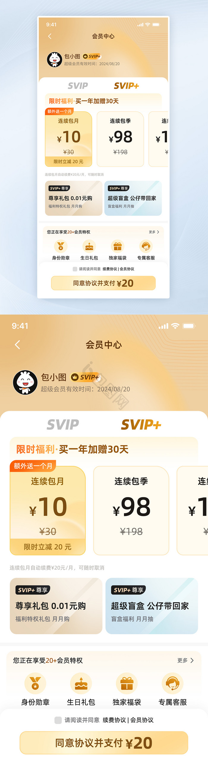 支付页会员套餐移动app界面