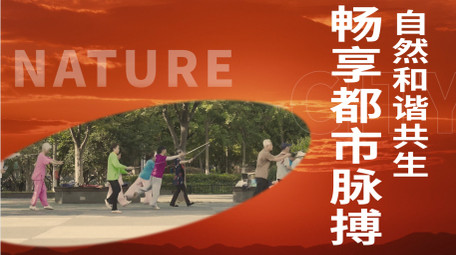 地产行业分屏<strong>图文</strong>展示AE模板