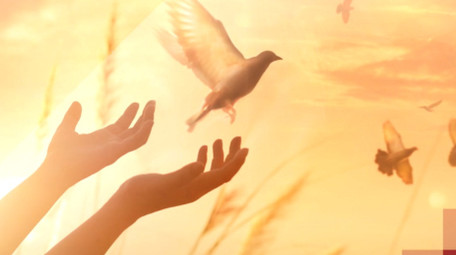 大气红绸单图国庆节ae模版