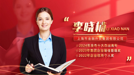 党建人物图文介绍表彰AE模板