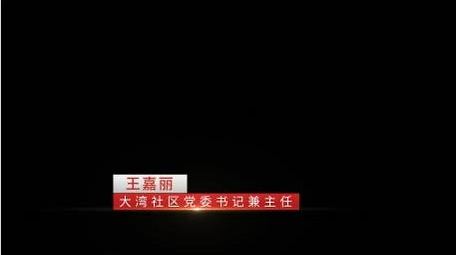 党政文化宣传字幕动画展示AE模板