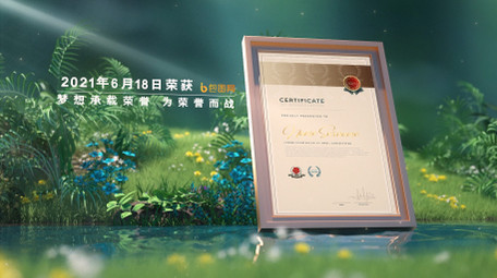 绿色植物场景企业证书文件展示AE模板