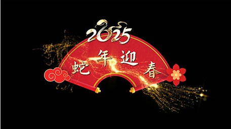 蛇年AE模板金色光效字幕花字