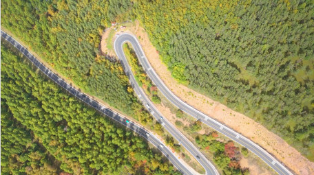 森林蜿蜒曲折公路旅行车流航拍