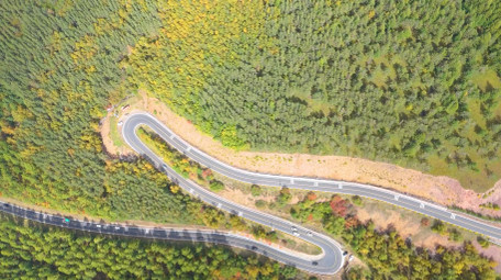 森林蜿蜒曲折公路旅行车流航拍