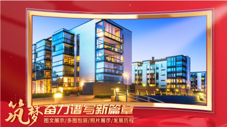 简约干净党政光效图文包装pr模板