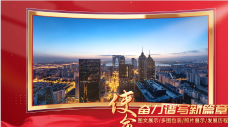 简约干净党政光效图文包装pr模板