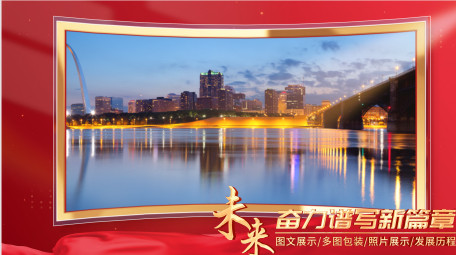 简约干净党政光效图文包装pr模板