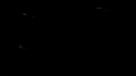 秋季出行版式花字AE模板