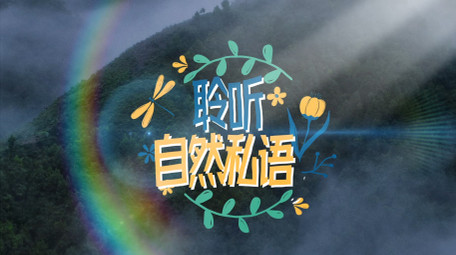 简洁旅游小清新文字字幕条AE模板