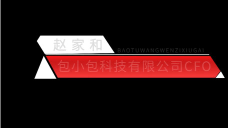 党政简约人名条字幕花字AE模板