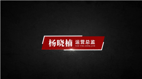 简洁大气党政人名字幕条AE模版