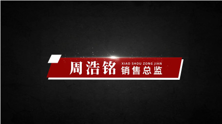 简洁大气党政人名字幕条AE模版