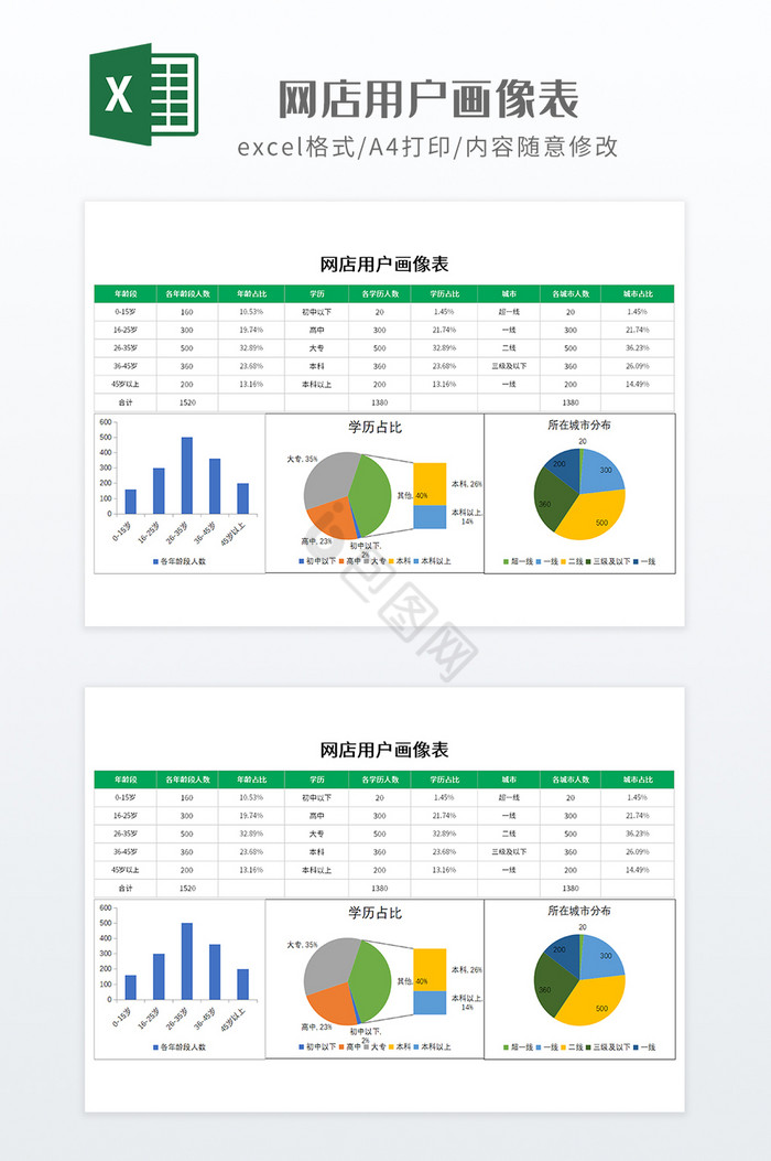 绿色带图表网店用户画像表