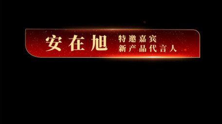 党政红色字幕动画字幕花字模板