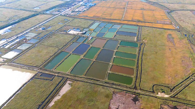 盘锦河蟹生态试验田空镜航拍