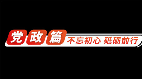 简洁党政党建宣传片角标字幕花字
