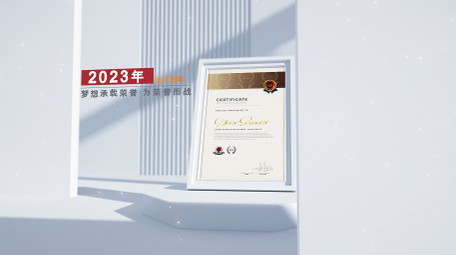 简洁干净光影专利荣誉证书<strong>图文</strong>展示AE模板