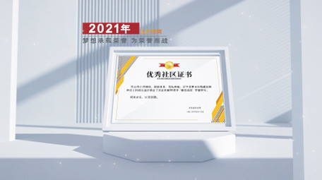 简洁干净光影专利荣誉证书<strong>图文</strong>展示AE模板