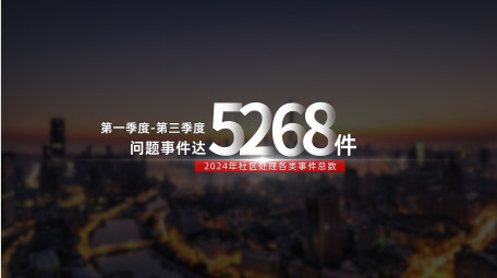 大气党政数据工作汇报字幕花字