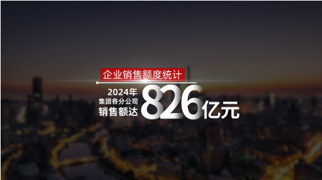 大气党政数据工作汇报字幕花字