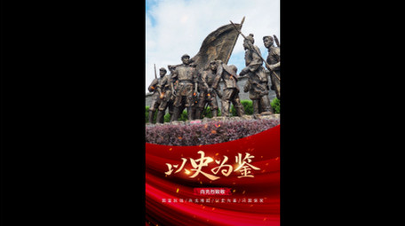 震撼红绸<strong>党政</strong>历史竖版视频模板