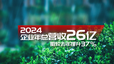 红色各类数据汇报字幕花字