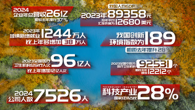 红色各类数据汇报字幕花字