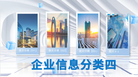 大气立体明亮光影分类PR模版