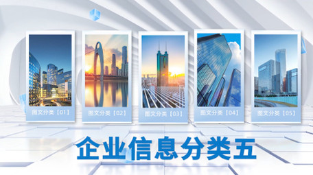 大气立体明亮光影分类PR模版