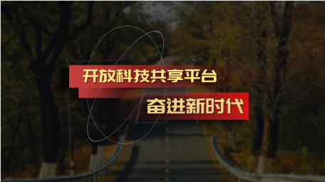 红色政党工作数据汇报字幕花字