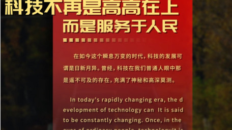 红色政党工作数据汇报字幕花字