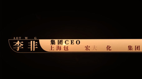 金色创意图形人名字幕条AE模板