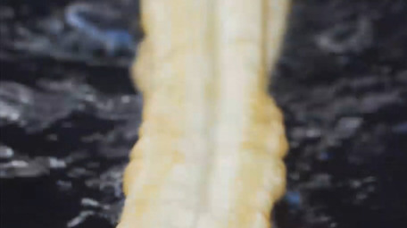 餐饮美食早餐美食炸油条4K实拍