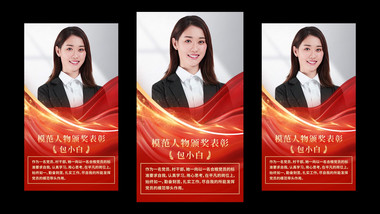 <strong>党政</strong>模范人物颁奖表彰竖版视频