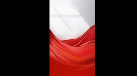 <strong>党政</strong>模范人物颁奖表彰竖版视频