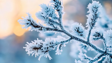 唯美冬日自然风光视频素材