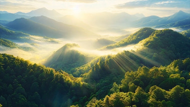 大气森林丁达尔延时视频素材