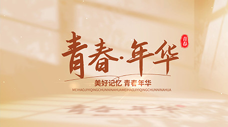 唯美光影标题质感片头AE模板