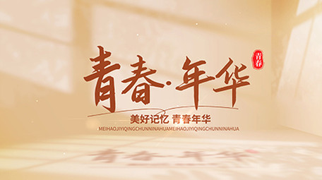 唯美光影标题质感片头AE模板