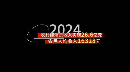党政数据工作汇报字幕花字AE模板