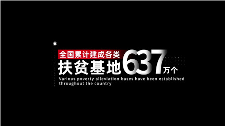 简洁党政数据工作汇报字幕花字AE模板