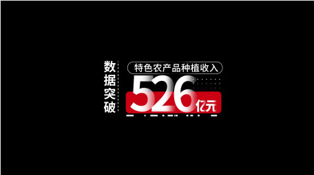 简洁党政数据工作汇报字幕花字AE模板