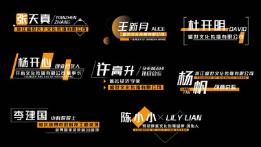 简约AE模板简洁人名字幕花字